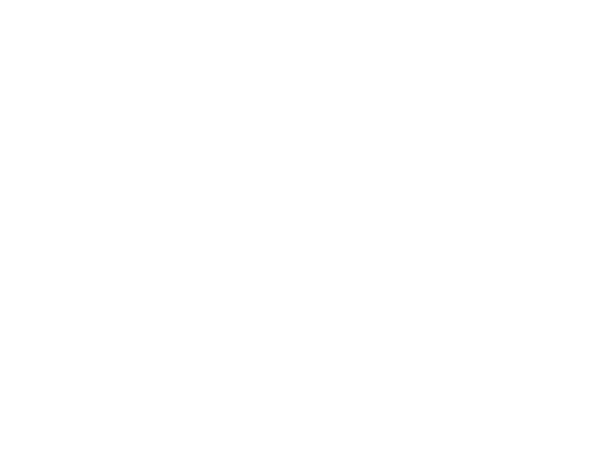 SINEI design